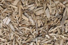 biomass boilers Rudge Heath
