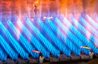Rudge Heath gas fired boilers